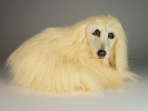 Piutre Stuffed Plush Afghan Hound