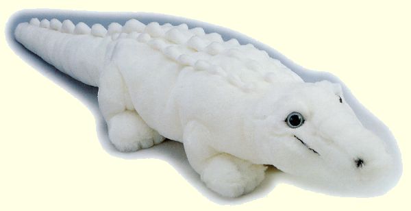 White Alligator