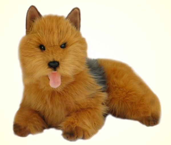 Buy Stuffed Australian Terrier