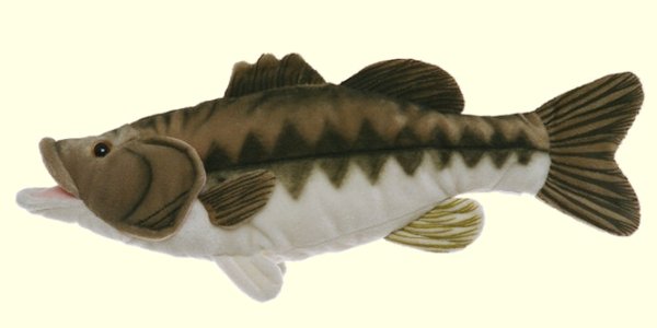 largemouth bass stuffed animal