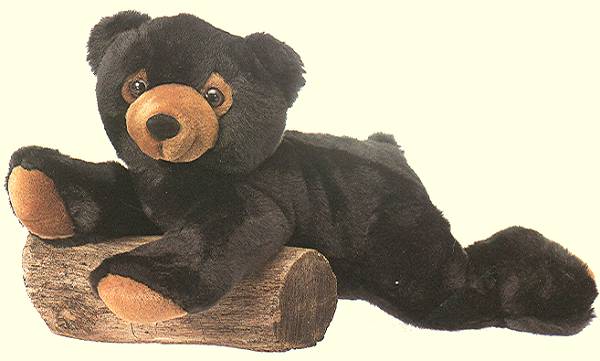 black stuffed bear