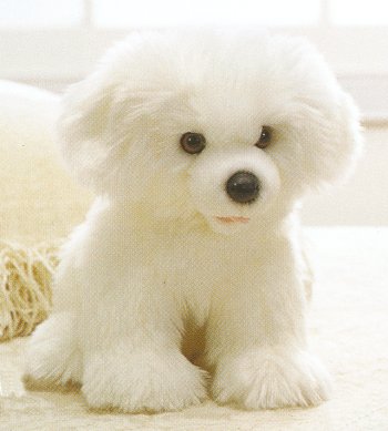 Stuffed Plush  Bichon