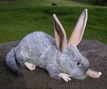 Bilby