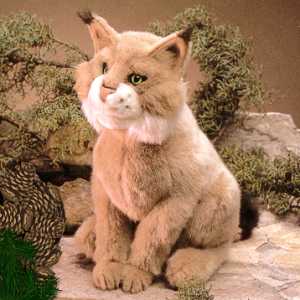 Top Bobcat Stuffed Animal in the world Learn more here 