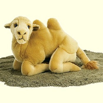 cuddly toy camel