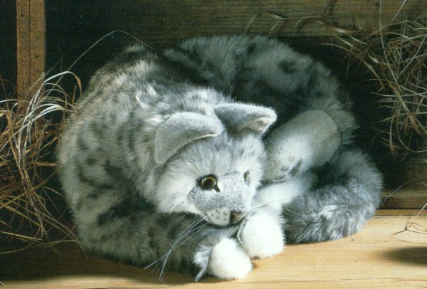 gray tabby cat stuffed animal