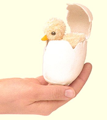 egg with stuffed animal inside