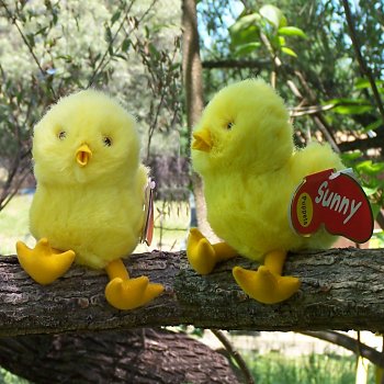 Sunny & Co. Plush Chick