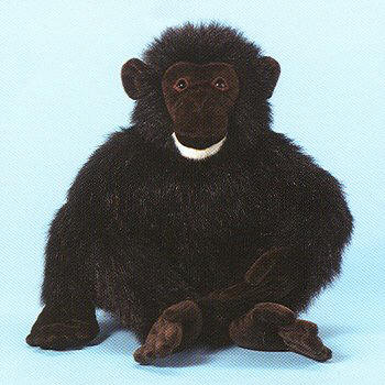 National Geopgraphic Stuffed Chimpanzee