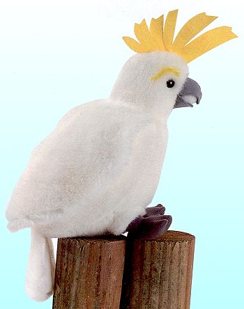 cockatoo stuffed animal