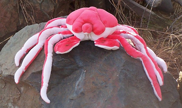 stuffed animal crab