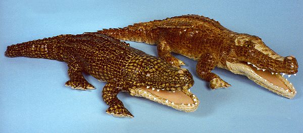 Stuffed Alligators and Stuffed Crocodiles