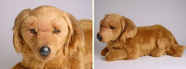 long haired dachshund stuffed animal
