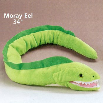 stuffed eel toy