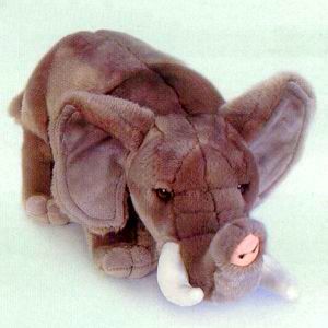 Baby Elephant