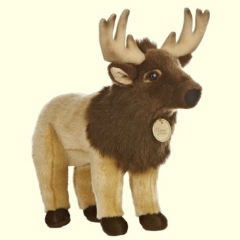Aurora Miyoni Elk