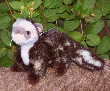 Omega Stuffed Ferret