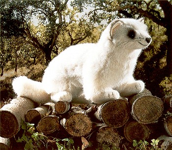 Kosen European Stuffed Plush White Ferret