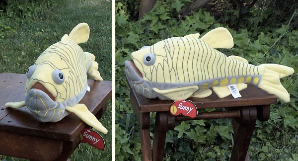 Buy Stuffed Hatchet Fish