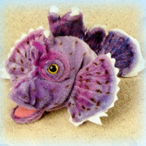 Scorpion Fish