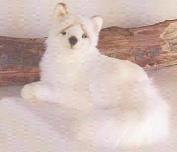 Stuffed Plush Arctic Fox