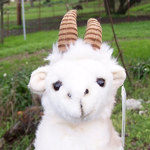 Little Billy Plush Goat