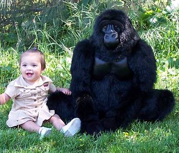 large gorilla stuffed animal