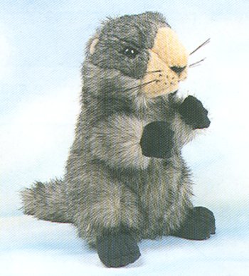 Stuffed Plush Groundhog