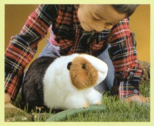 Stuffed Guinea Pig