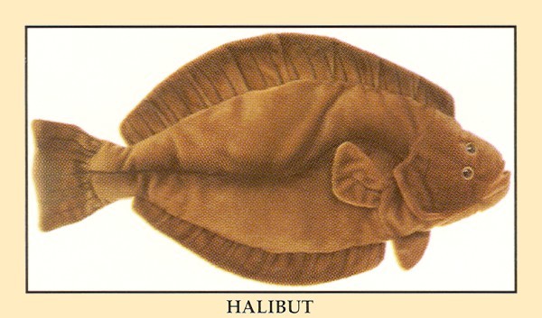 Cabin Critters Stuffed Plush Halibut