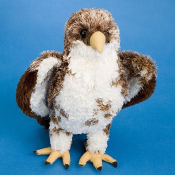 hawk stuffed animal