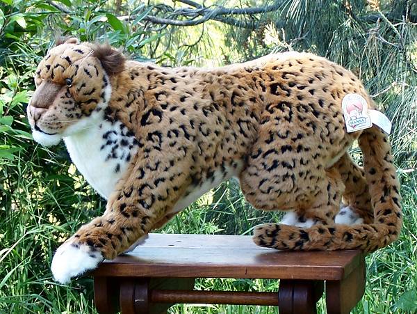 gia the jaguar plush