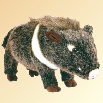 stuffed javelina toy