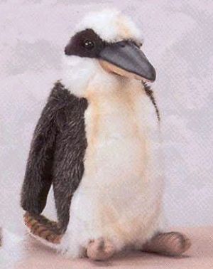 Kookaburra