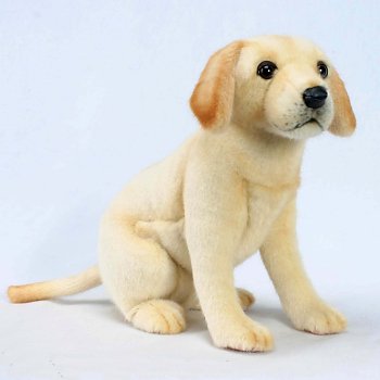 stuffed yellow lab puppy