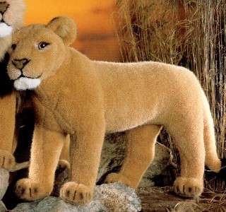 Buy Stuffed Lioness