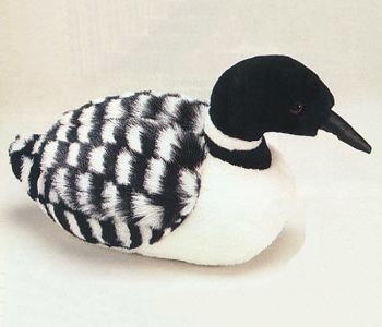 MDH Loon