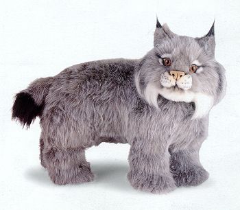 lynx stuffed animal