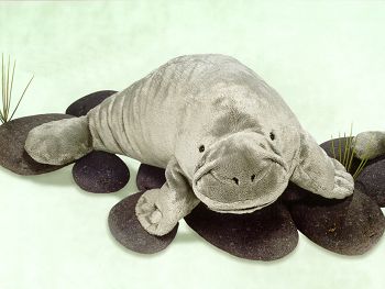 Flo Manatee