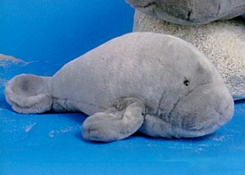 Stuffed Plush Manatee