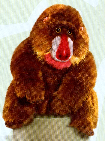 mandrill stuffed animal