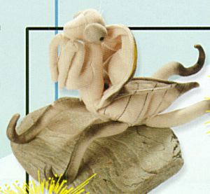 Praying Mantis