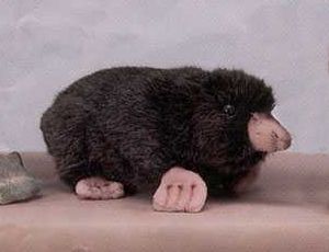 Hansa Mole