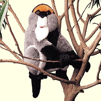 Buy Stuffed DeBrazza's Monkey