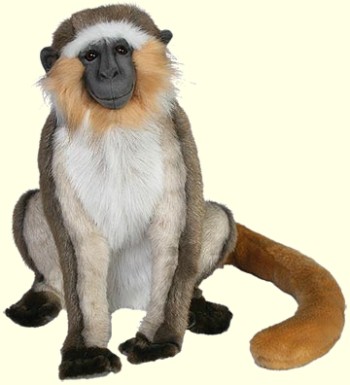 Buy Stuffed Green Vervet Monkey