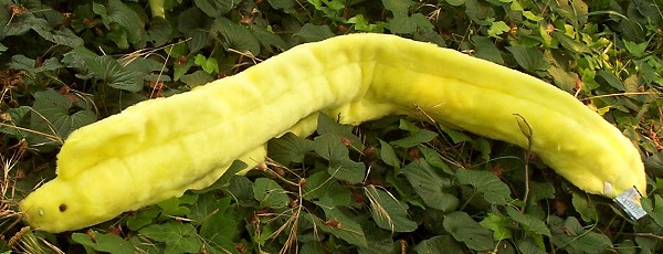 Stuffed Plush Moray Eel