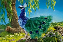Folkmanis Stuffed Plush Peacock