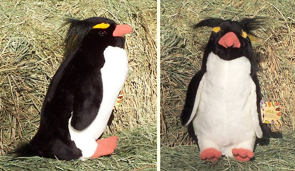 rockhopper penguin plush