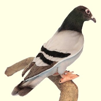 Hansa Plush Pigeon Stuffed Animal