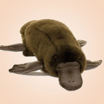 platypus stuffed animal